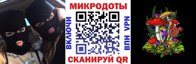 Галлюциногенные грибы Cubensis kraken зеркало Великий Новгород где можно купить