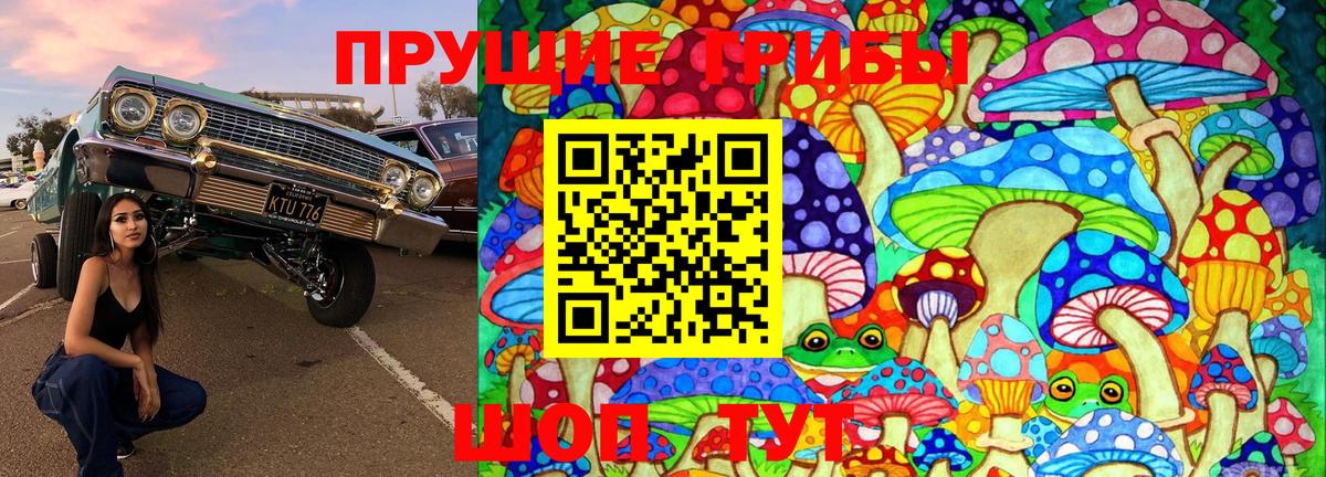 Галлюциногенные грибы GOLDEN TEACHER Великий Новгород